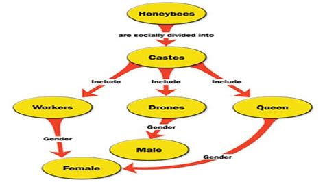 How To Make A Concept Map On Word - Maping Resources