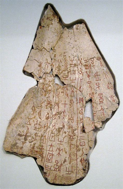 The Shang Dynasty - What Are Oracle Bones? Guide for Keystage 2