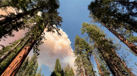 Thousands of firefighters work to contain devastating Oak Fire | CGTN ...