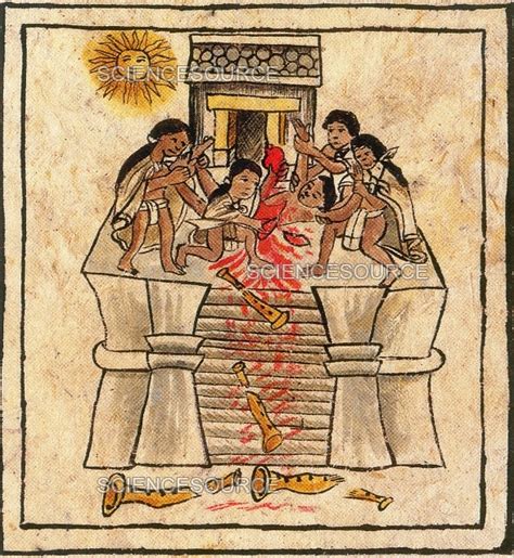 Aztec Human Sacrifice, Codex Florentin | Stock Image - Science Source ...