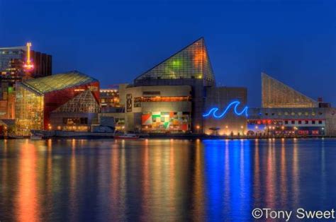 Baltimore Inner Harbor Aquarium Ticket Prices - Aquarium Views