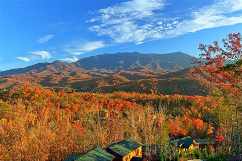 Smoky Mountain Fall Foliage