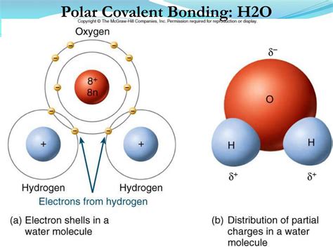 Ch4 Polar Or Nonpolar Covalent Bond : PPT - The Chemistry of Life ...