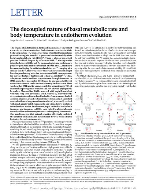 The decoupled nature of basal metabolic rate and body temperature in ...