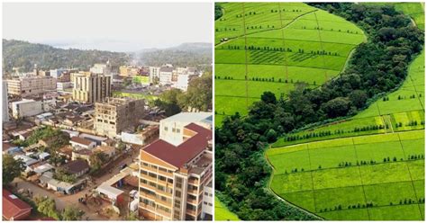 Kericho: Kenya's Beautiful Green Town Surrounded by Exquisite Large Tea ...