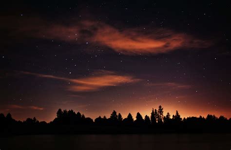 Download Magical Night Sky With Silhouette Of Trees With Clouds And ...