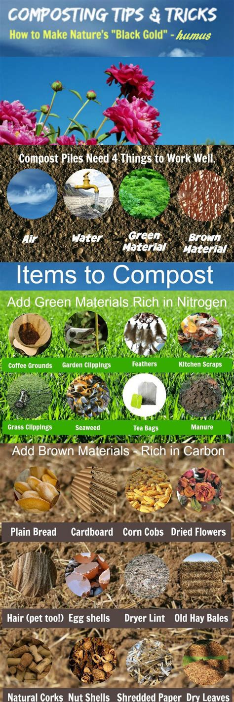 Composting Tips - Tricks for Making Mother Nature's Black Gold