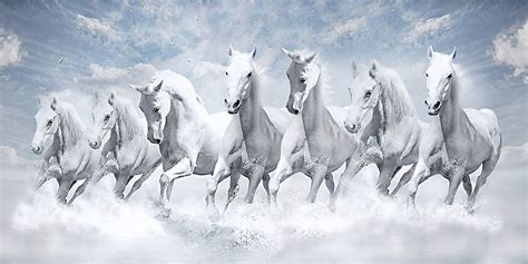 Running White Horse Wallpapers - Top Free Running White Horse ...