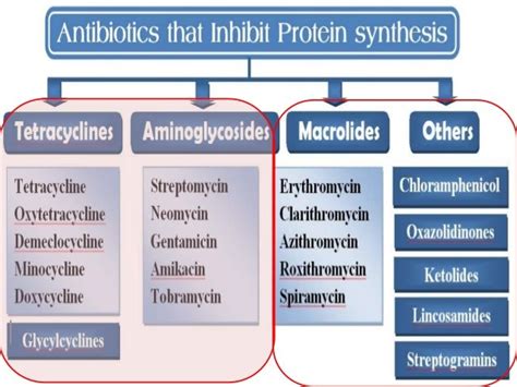 Pharmatube antibiotics-5-protein synthesis inhibitors (part 2)