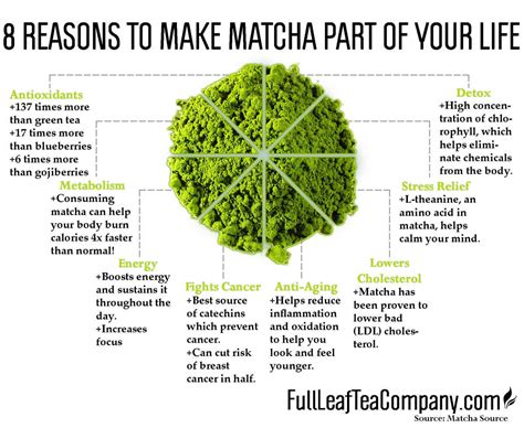 What is Matcha? 8 Reasons to Make Matcha Green Tea a Part of Your Life ...