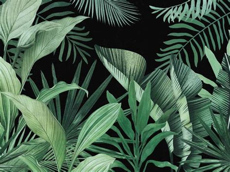 Details more than 54 jungle leaf wallpaper best - in.cdgdbentre