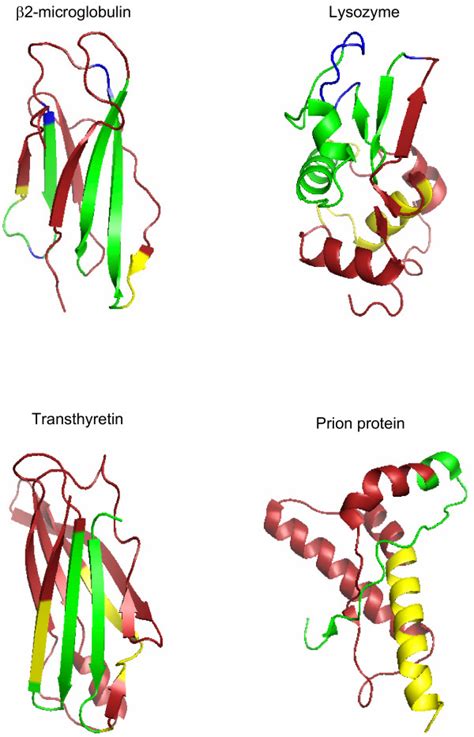 Representation of the 3D structure of globular proteins related to ...