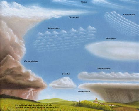 Cloud types. I. Cumulus. II. Comulonimbus. III. Stratus. IV ...