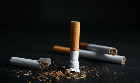 Parental nicotine use and addiction risk for children | Penn Today