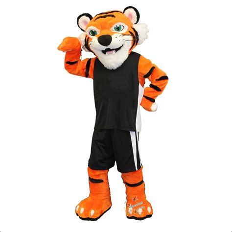 School Male Tiger Mascot Costume