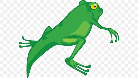 Frog Tadpole Cartoon Clip Art, PNG, 600x463px, Frog, Amphibian, Artwork ...