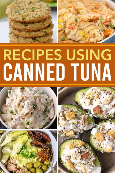 Canned Tuna Recipes No Cook | Dandk Organizer