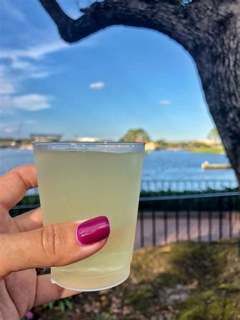 Drink This: Top 10 Drinks at Epcot International Food & Wine Festival ...