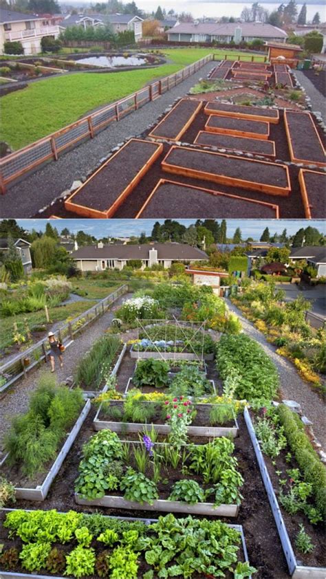 Vegetable Garden Layout: 7 Best Design Secrets - A Piece Of Rainbow