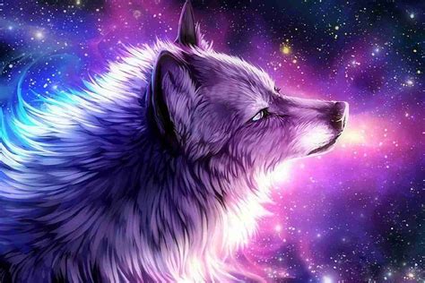 Cute Galaxy Wolf Wallpapers - Top Free Cute Galaxy Wolf Backgrounds ...