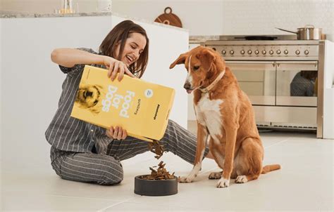 Best Dog Food Subscription Boxes for 2020 - hello subscription