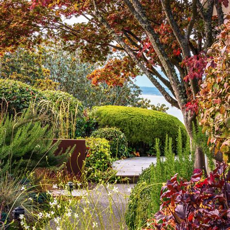 3 Ways to Maximize Fall Color in Your Garden - Sunset Magazine