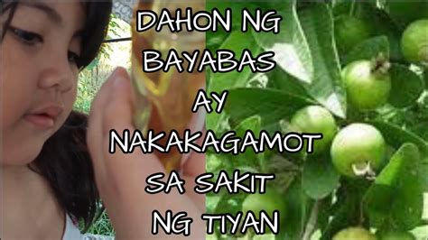 MABISANG HALAMANG GAMOT PARA SA SAKIT SA TIYAN AT IBA PANG KARAMDAMAN ...