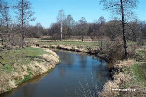 Warta River in Korwinow - Photo 13/16