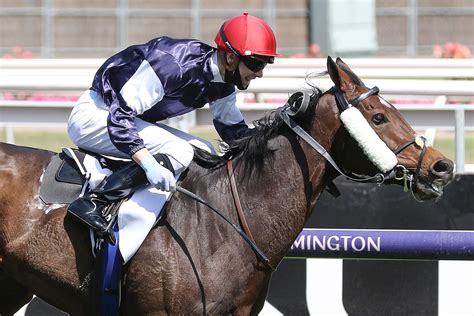 2021 Melbourne Cup Nominations: 174 Entries, Incentivise All-In ...