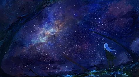 HD wallpaper: Anime, Original, Girl, Starry Sky | Wallpaper Flare