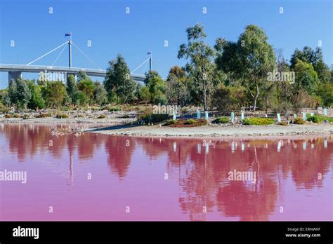 Pink Lake, Westgate Park, Port Melbourne, Melbourne, Victoria ...