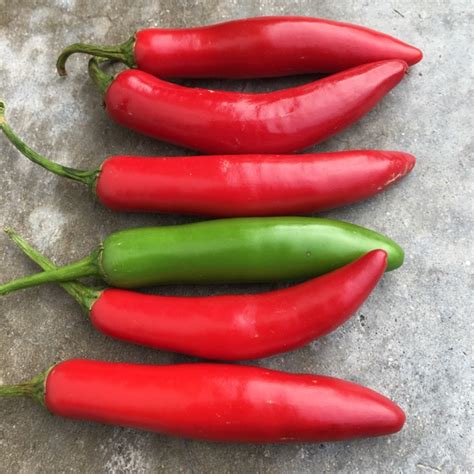 Red Serrano Chile Peppers Information, Recipes and Facts