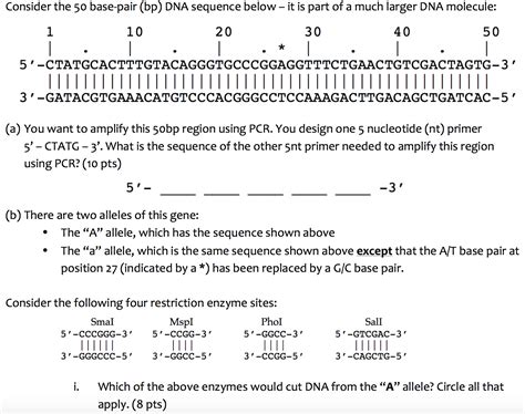 Solved: Consider The 50 Base-pair (bp) DNA Sequence Below ... | Chegg.com