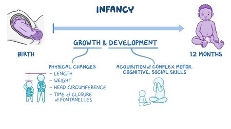 Growth and development - Infant: Nursing - Osmosis Video Library