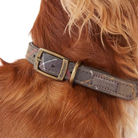 Barbour Tartan Dog Collar - Hike & Camp