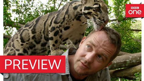 Presenter speaks to leopard - Ingenious Animals: Episode 2 Preview ...