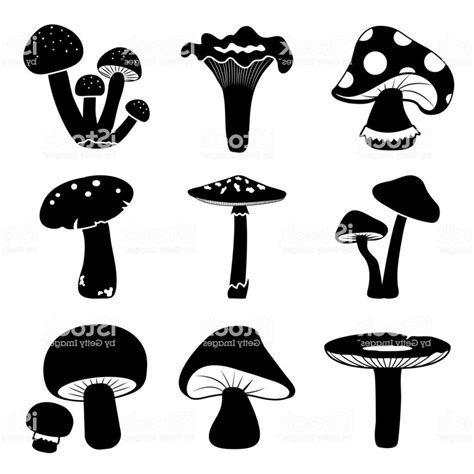 Mushroom Vector Art at Vectorified.com | Collection of Mushroom Vector ...