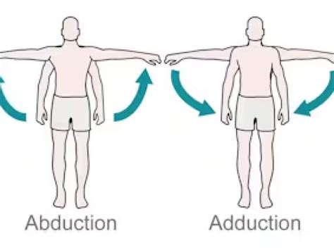 Shoulder Abduction - Movement, ROM, Muscles, Exercises