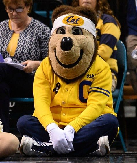 Uc Berkeley Mascot