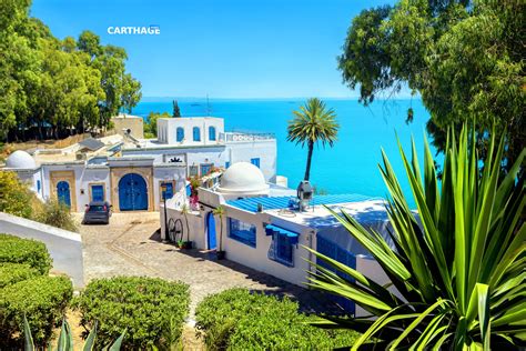 10 Amazing Things To Do in Sidi Bou Said, Tunisia — Carthage Magazine