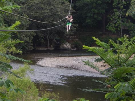 Private Zipline and Animal Sanctuary