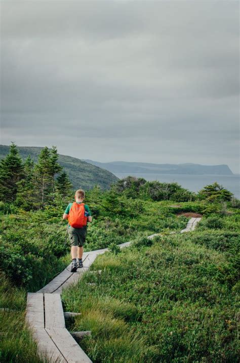 Cape Spear Trail, Newfoundland - The Driftwoods Family | Newfoundland ...