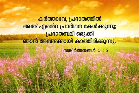 Malayalam Bible Words: malayalam bible verse of the day, bible ...