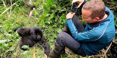 A traveler enjoys Gorilla Trekking in Rwanda