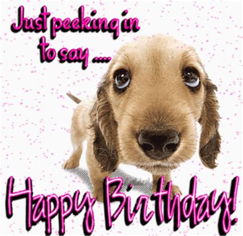 Happy Birthday Dog GIF - Happy Birthday Dog Tail Wagging - Discover ...