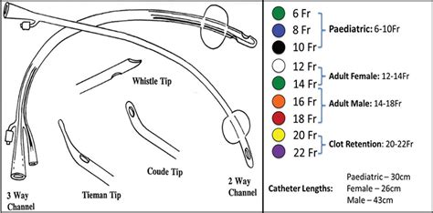 RACGP - Ins and outs of urinary catheters