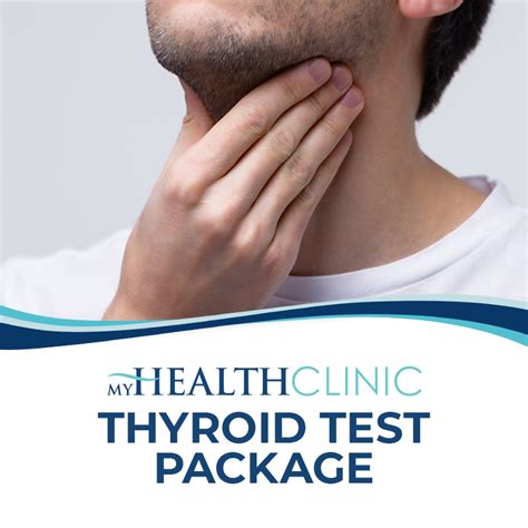 How Much Does A Thyroid Test Cost For A Dog