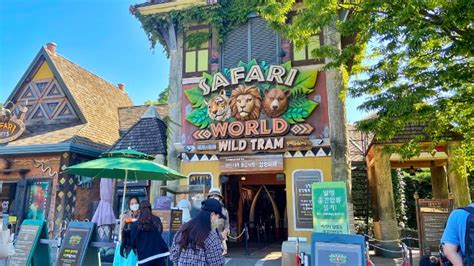 Everland Theme Park: How to Get There & Must-Try Rides