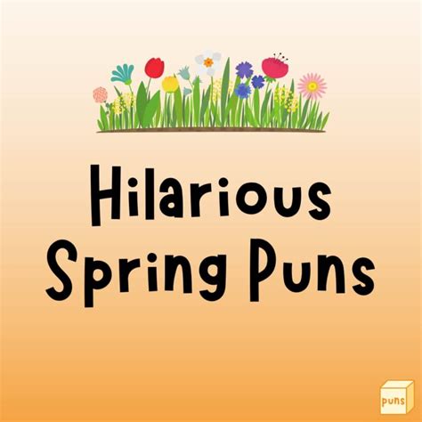 60+ Hilarious Spring Puns That Are Blooming - Box of Puns