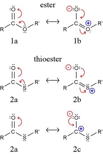 CHEM 440 - Thioesters